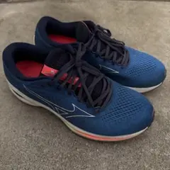 Item thumbnail for item ffcf9ee4-f43c-44ae-ba5b-cca92980eda1