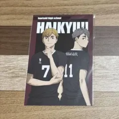 ハイキュー ハイキュープラポストカード 宮治 宮侑