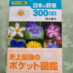 Item thumbnail for item 9a4514df-ef09-4a78-afa0-f9b2d4d43943