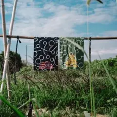 Item thumbnail for item 88ed1748-f6a2-46d2-98af-9edccc8c7b8a