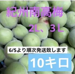 和歌山県産 紀州南高梅 2L〜4L混合 10キロ - メルカリ