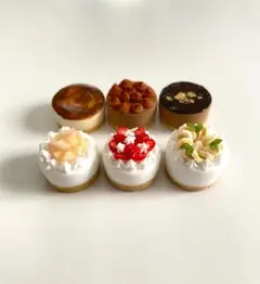 ホールケーキ　6種セット　ミニチュア