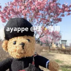 【ayappe @様専用】Disney✨ズートピア✨エコバッグ✨マチ付きポーチ