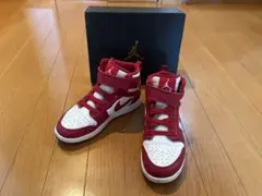 Nike GS Air Jordan 1 FlyEase 21.5㎝