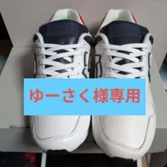 ゆーさく様専用、新品 サンガッチョ 正規品 にゅ～ず