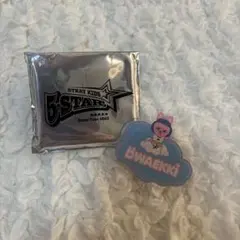 StrayKids SKZOO チャンビン ネームバッジ