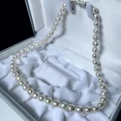 Item thumbnail for item cf10d7de-cf43-4b9d-bf60-d65c18a4ea89