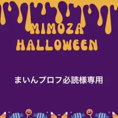 まいんプロフ必読様専用でございます♪