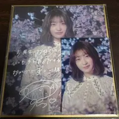 櫻坂46 サクコレ 会場くじ C賞 サイン色紙 小島凪紗 - メルカリ