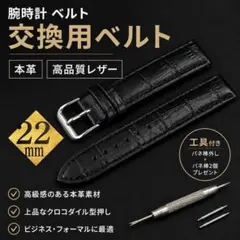 a47)22mm 腕時計交換ベルト ブラック 本革 クロコ型押しバネ棒+はずし付