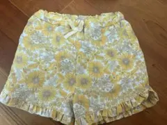 プティマイン petitmain 水陸両用 100