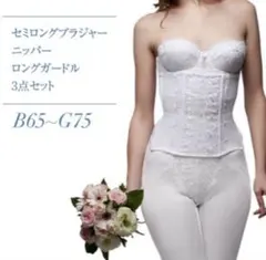 ブライダルインナー 3点セット B65-G75 (G65)