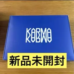 stray kids karma