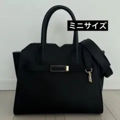 極美品✨ヴァレクストラ マイクロブレラ ショルダーバッグ シボ革 黒 