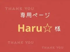 Haru☆様専用ページです。