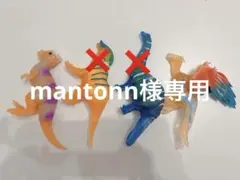 mantonn様専用