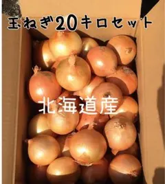 kasa様専用 北海道産 玉ねぎ 18キロ