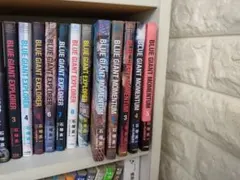 Item thumbnail for item 94ac6290-1145-469b-9dec-bfb2cf59e3b1