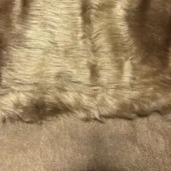 Item thumbnail for item d37aa3e2-4908-4e12-a52b-1f3c29304098