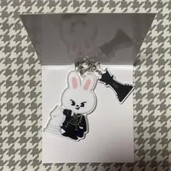 straykids スキズ シーグリ 2026 アクキー リービット