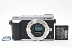 2025年最新】LUMIX DMC-GX7MK2の人気アイテム - メルカリ