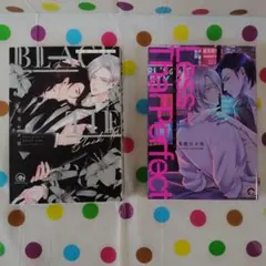 BL 茶渡ロメ男　2冊セット