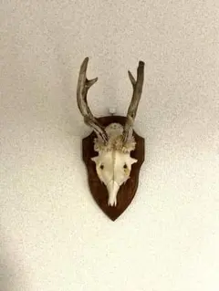 2025年最新】鹿 角 トロフィーの人気アイテム - メルカリ