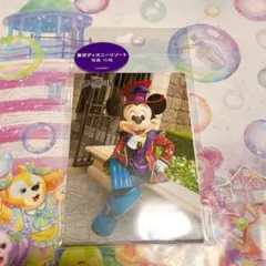 ③ディズニー ハロウィン 写真　１０枚 フレンジー フォト 2025 写真セット