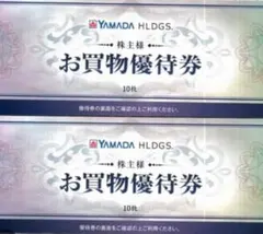 【匿名配送】 ヤマダ　株主優待券　10000円分