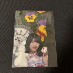 2026年最新】サクコレカードの人気アイテム - メルカリ