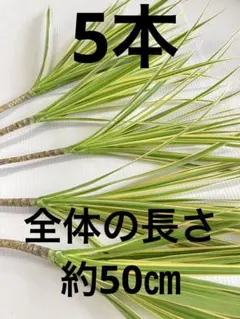 M＆M様 リクエスト 2点 まとめ商品