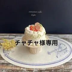 チャチャ様専用　ミニチュア　マカロンケーキ