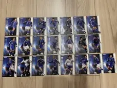 サンフレッチェ広島レジーナ オンサイトカード 全選手コンプリート