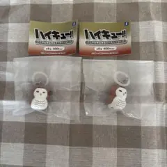 ハイキュー アニマルゆらゆらマーカー vol.2 アカアシフクロウ 2点セット