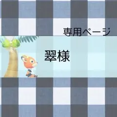 翠様 リクエスト 2点 おまとめ品
