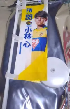 Item thumbnail for item 45bdb612-2012-4df5-8cd2-37246c8dafb4