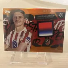 Item thumbnail for item 8ccdf1d7-6675-4b81-b57c-03d19cf75768