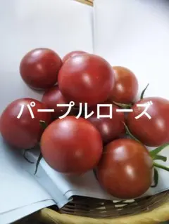 アプリコット様 リクエスト 3点 まとめ商品