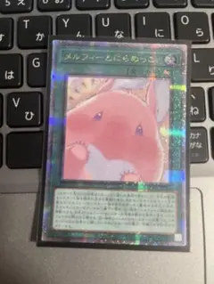 メルフィーとにらめっこ　クオシクのサムネイル