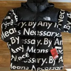2015aw Supreme THE NORTH FACE 文字ヌプシ　ダウン