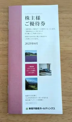 東急不動産ホールディングス 株主優待券（1000〜5000株未満）