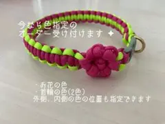 パラコード / 首輪 / チョーカー