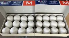 新品未使用】ナガセケンコー 軟式野球ボール M号 2ダース 24球入り 