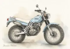 K*z様 TW200 225 甲子園マフラー キムタク ビューティフルライフ