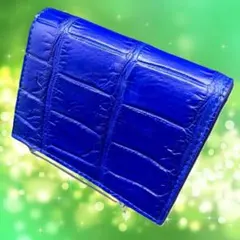 断捨離価格　本物クロコ・一枚革　シャム　クロコダイル　カードケース　CB