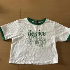 アベイル丈短めレディースで半袖TシャツMサイズのサムネイル