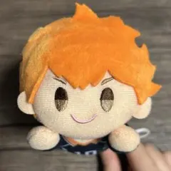 ハイキュー 日向翔陽 一番くじ ぬいぐるみ