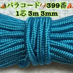 パラコード　１芯 ３m ３mm ３９９番　手芸とアウトドアなど用