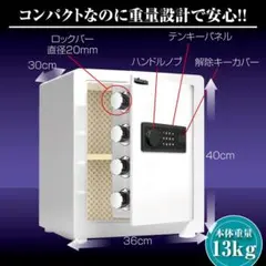 30cmプラック 金庫　振動警報 壁付け アンカーボルト付き 金庫盗難防止防犯 振動警報 壁付け アンカーボルト付き 30cm ブラック