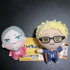 ハイキュー‼︎ ちょぴぬいぷち　灰羽リエーフ みにコレ　月島蛍 2種セット